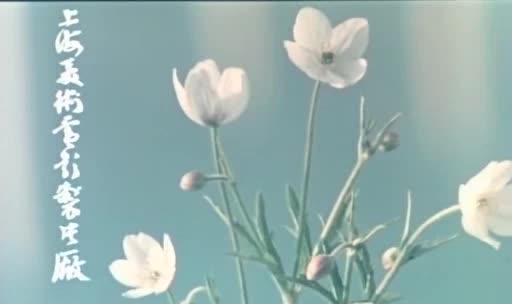动画片《蝴蝶泉》