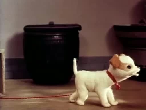 动画片《喵呜是谁叫的》