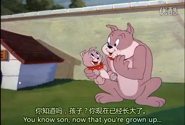 060 小犬显威