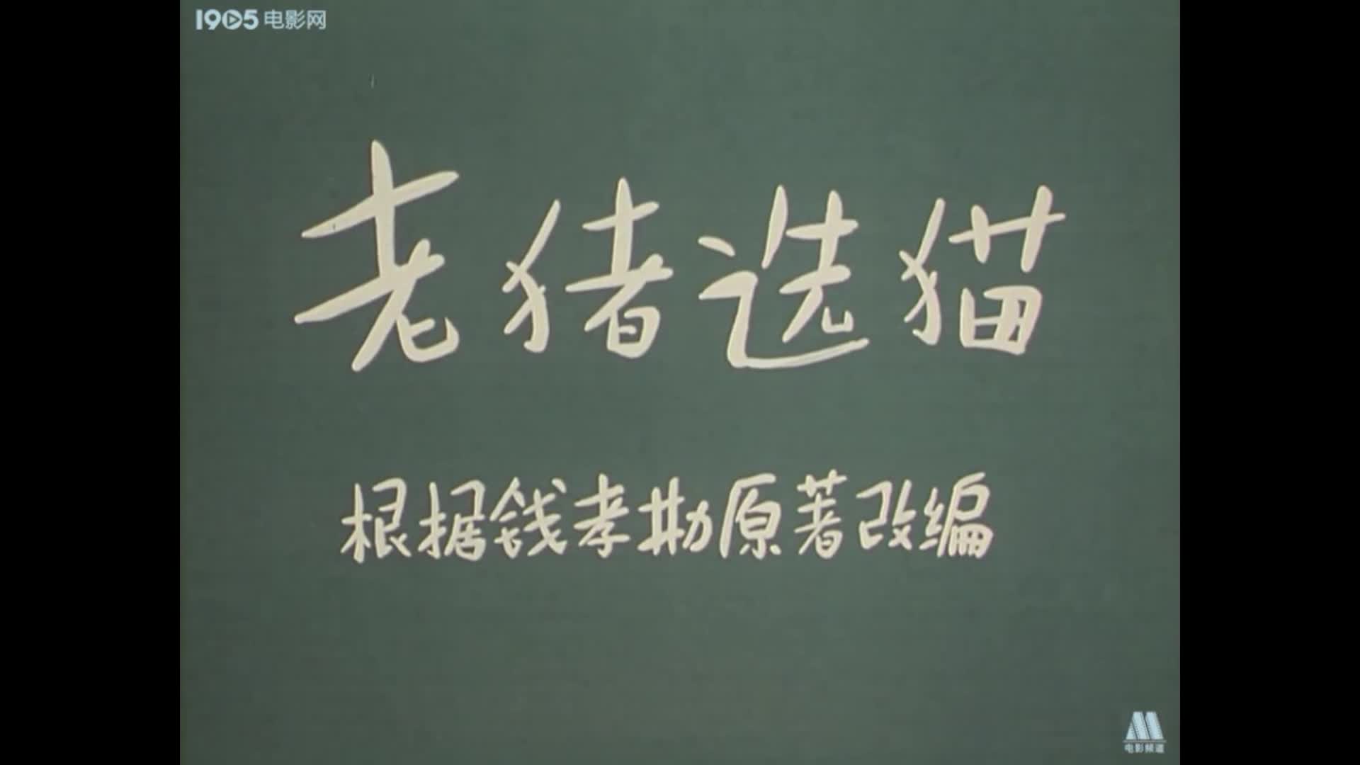 动画片《老猪选猫》