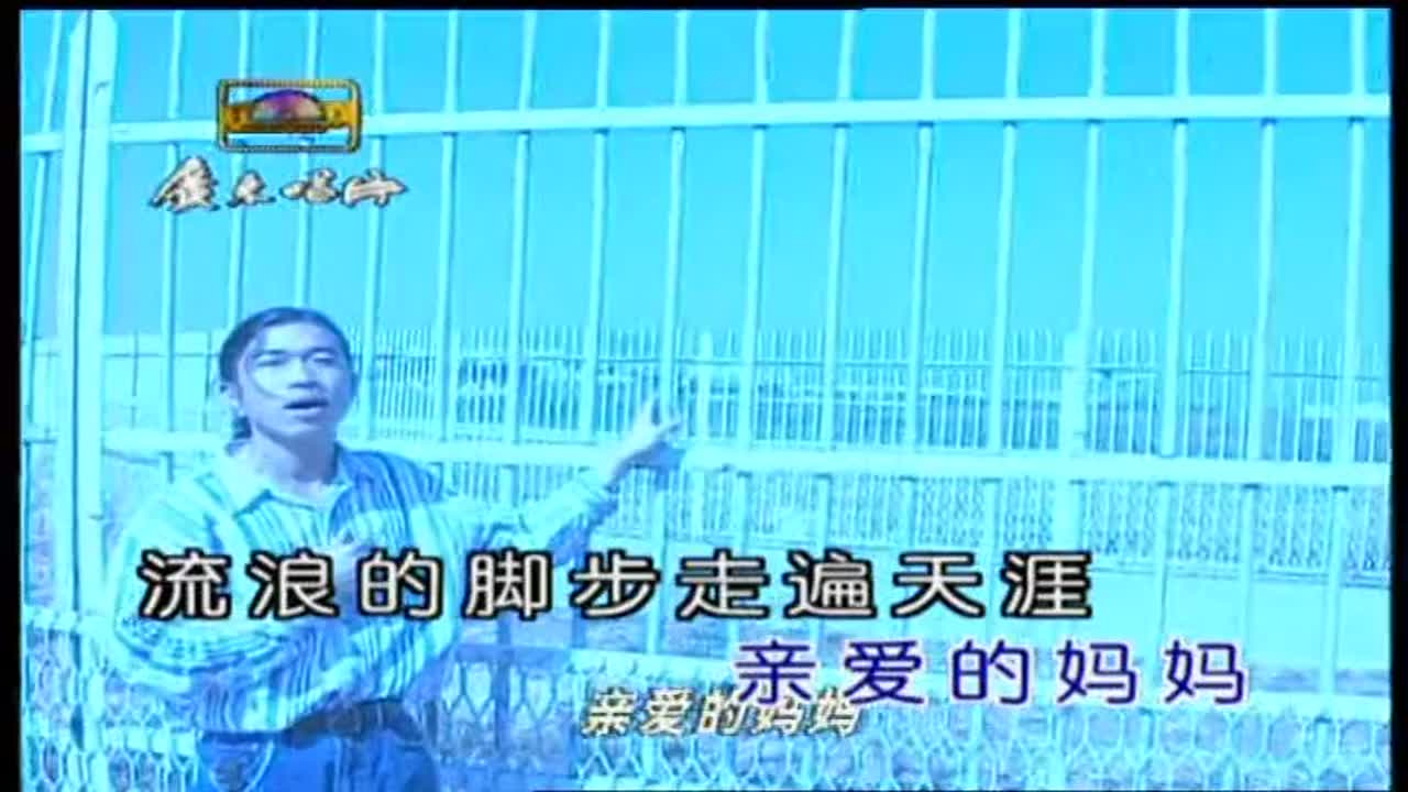 陈星 - 流浪歌