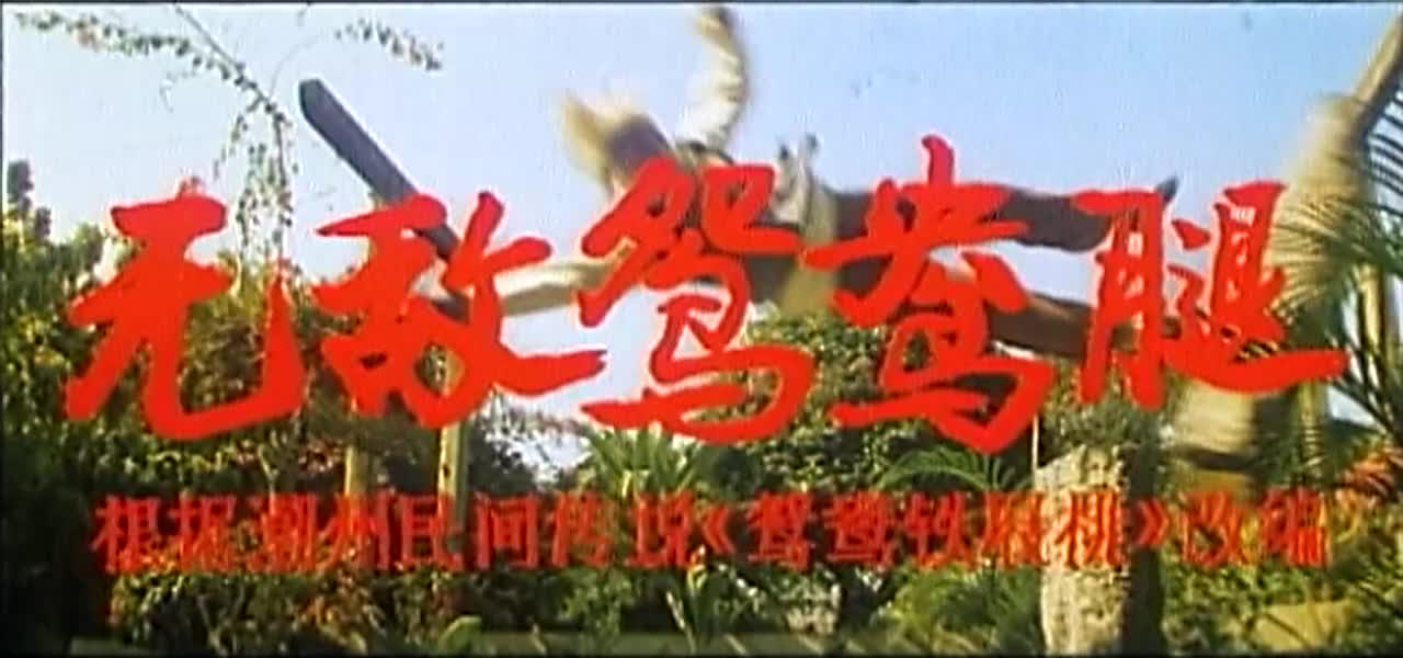 电影《无敌鸳鸯腿》