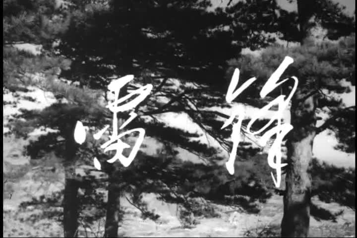 电影《雷锋》