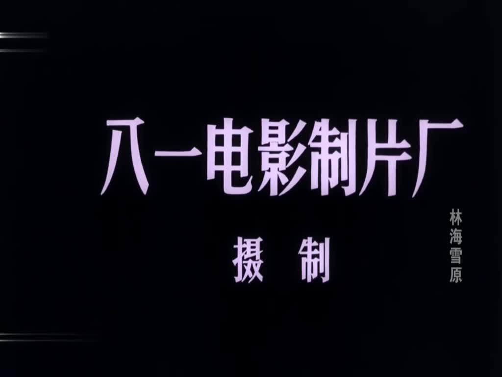 电影《林海雪原》