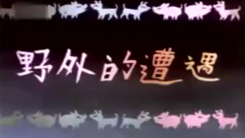 动画片《野外奇遇》