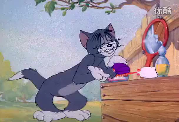 042 祖鲁猫
