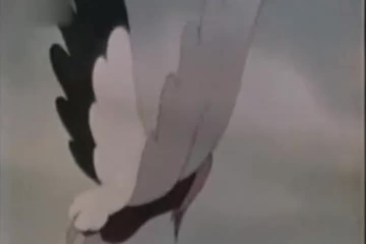 动画片《乌鸦为什么是黑的》