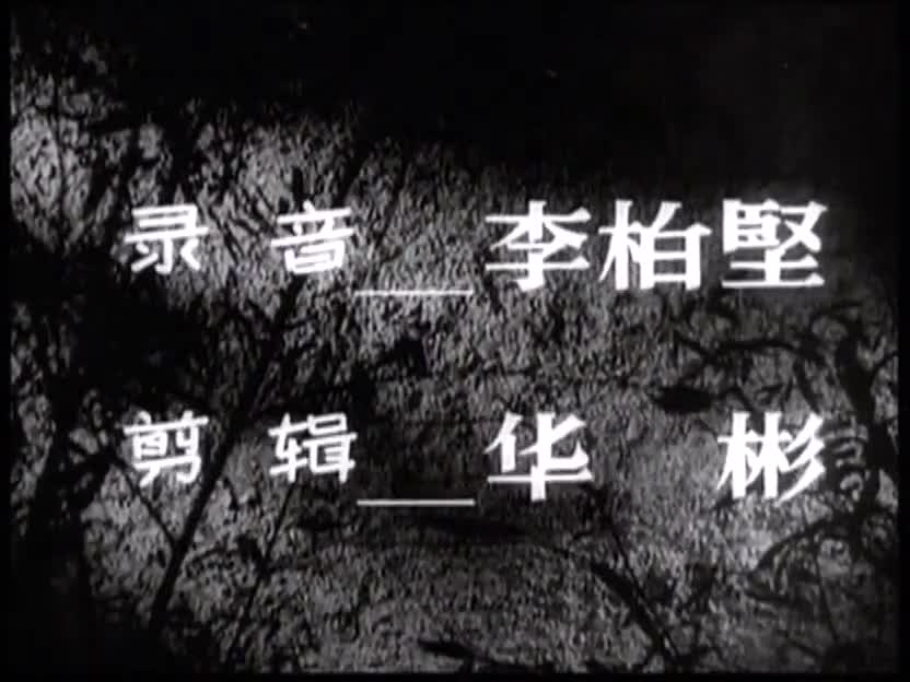 电影《英雄虎胆》