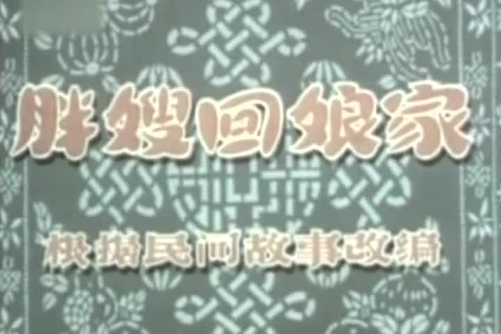 动画片《胖嫂回娘家》