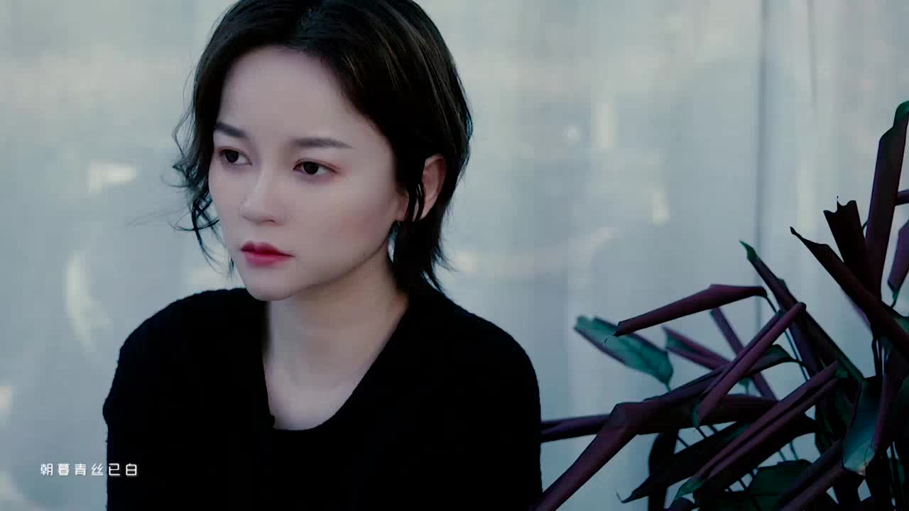 程响 - 等你归来