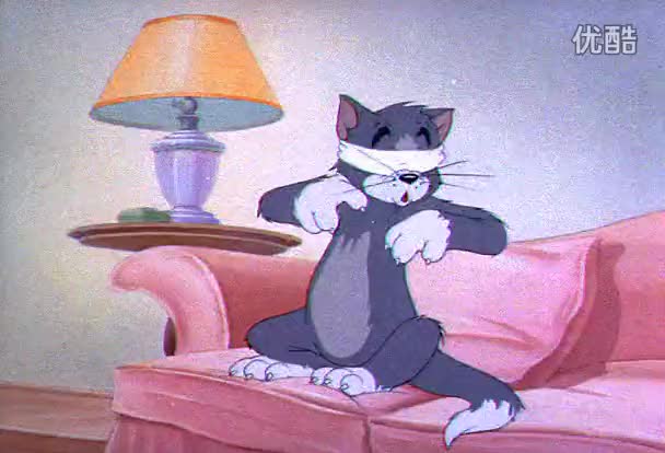 024 猫卡通