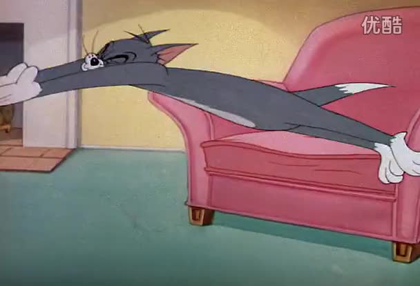 026 斑点猫